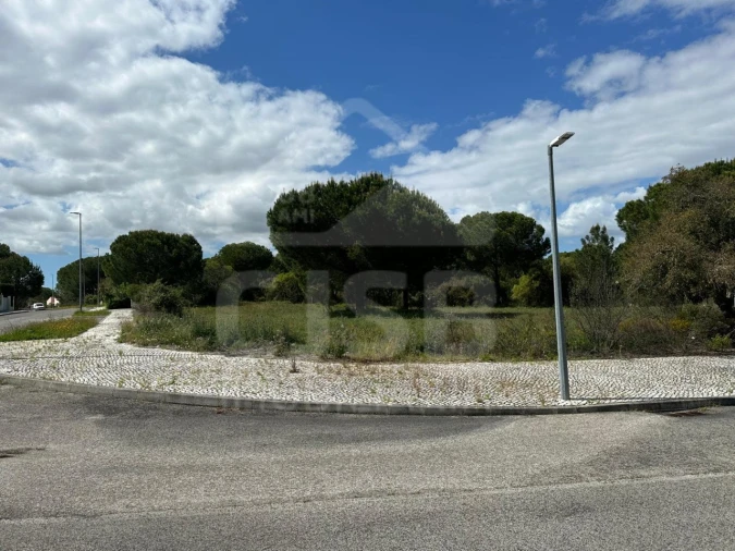 Terreno para Venda em Santo Estêvão Foto 7