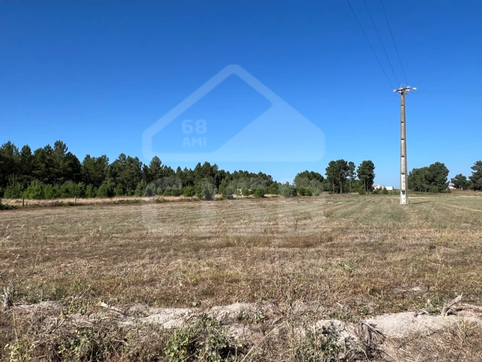 Terreno para Venda em Marinhais Foto 1