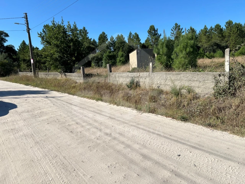 Terreno para Venda em Marinhais Foto 3