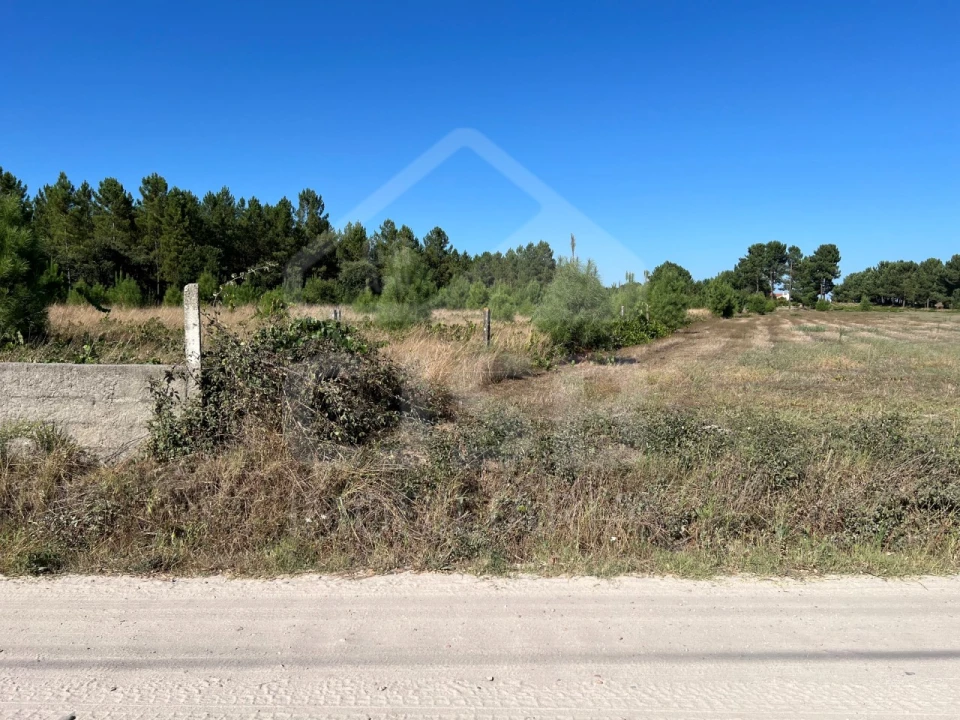 Terreno para Venda em Marinhais Foto 4