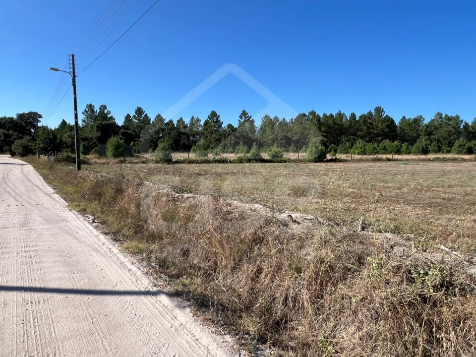 Terreno para Venda em Marinhais Foto 7