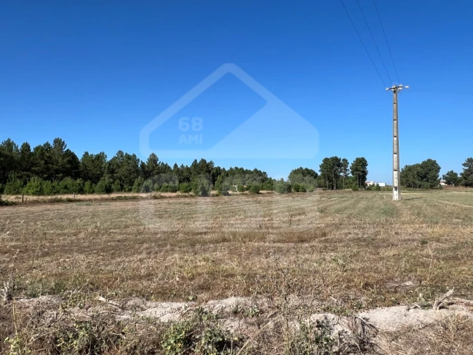 Terreno para Venda em Marinhais Foto 1