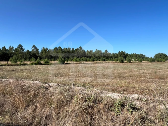 Terreno para Venda em Marinhais Foto 6