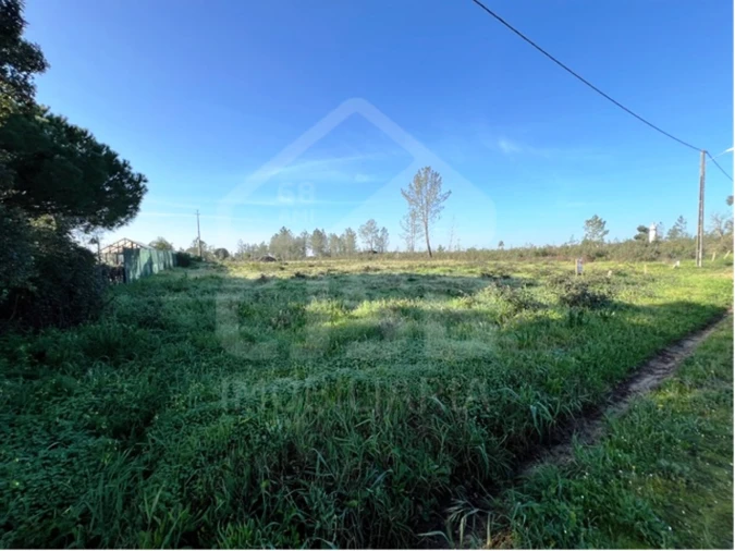 Terreno para Venda em Benavente Foto 4