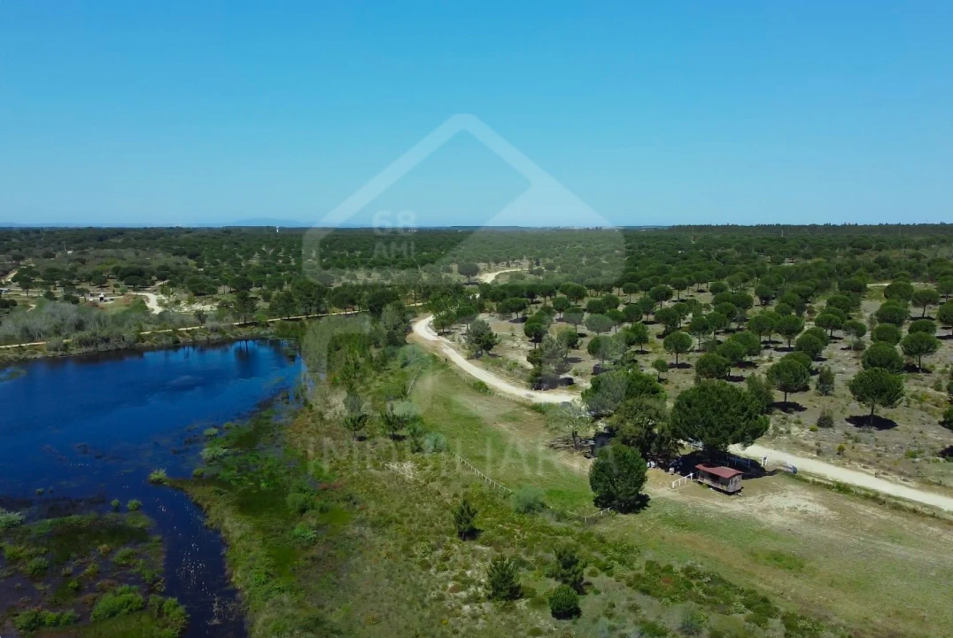 Terreno para Venda em Santo Estêvão Foto 2