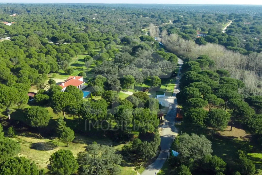 Terreno para Venda em Santo Estêvão Foto 6