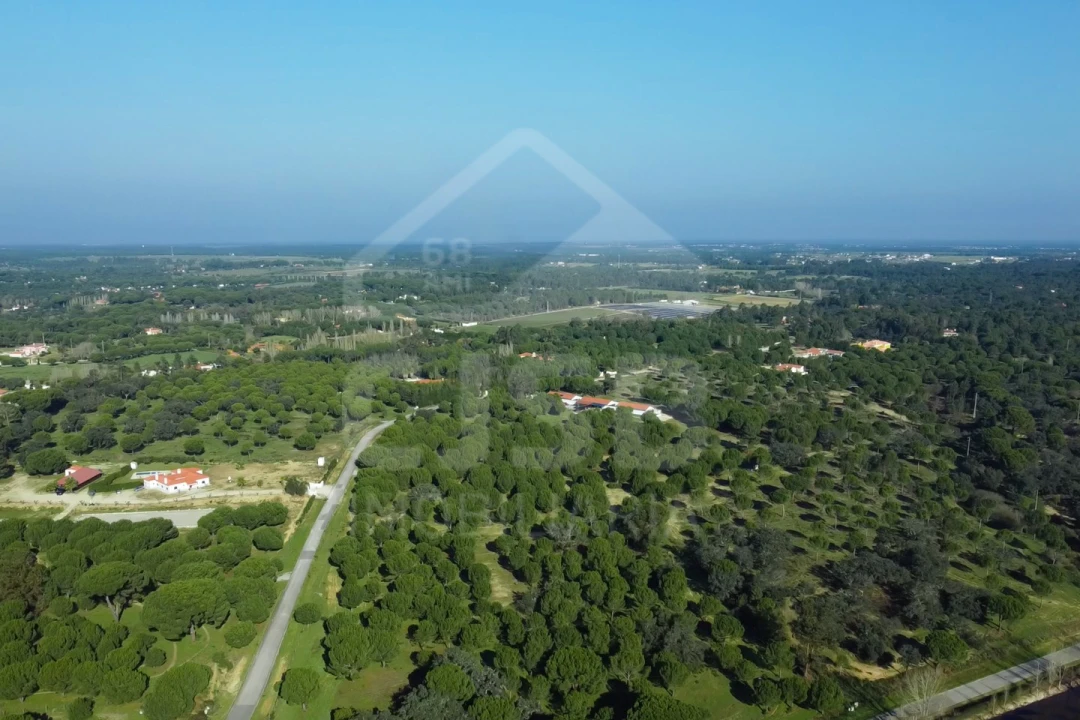 Terreno para Venda em Santo Estêvão Foto 1