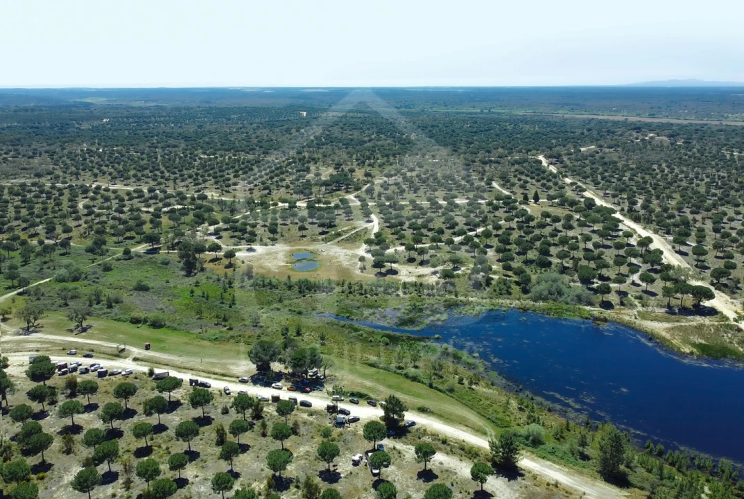 Terreno para Venda em Santo Estêvão Foto 3