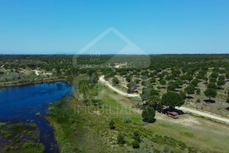 Terreno para Venda em Santo Estêvão Foto 2