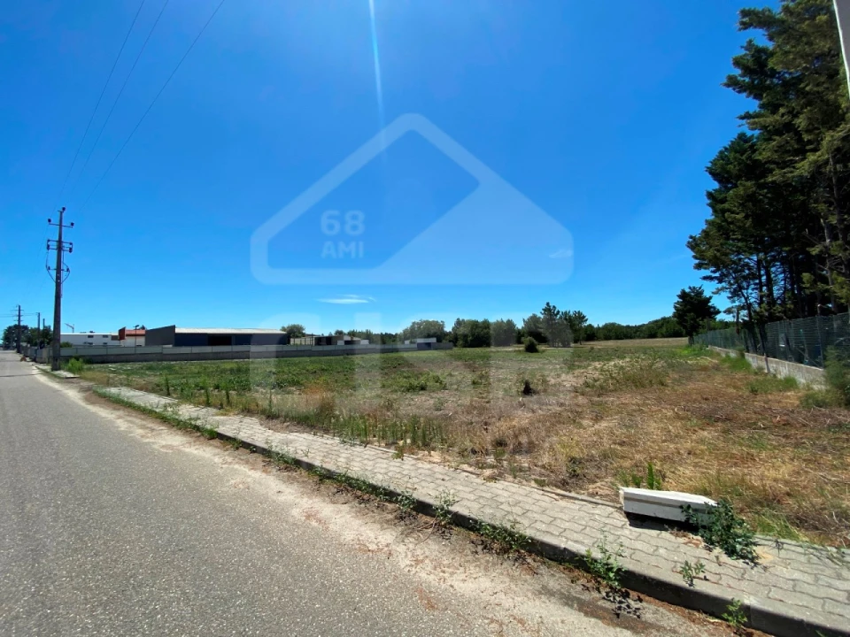 Terreno para Venda em Muge Foto 6