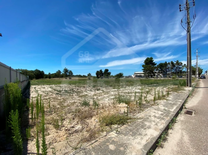 Terreno para Venda em Muge Foto 3