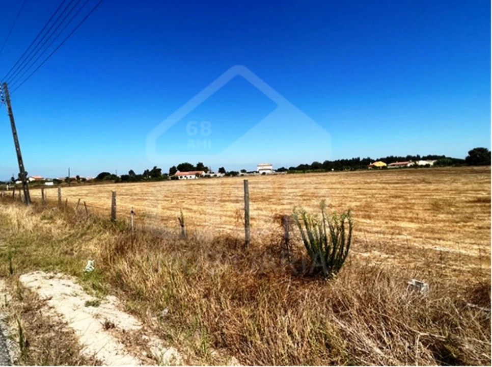 Terreno para Venda em Benavente Foto 1