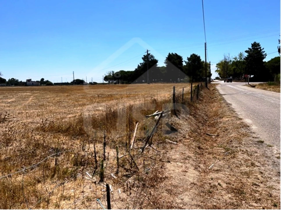 Terreno para Venda em Benavente Foto 2