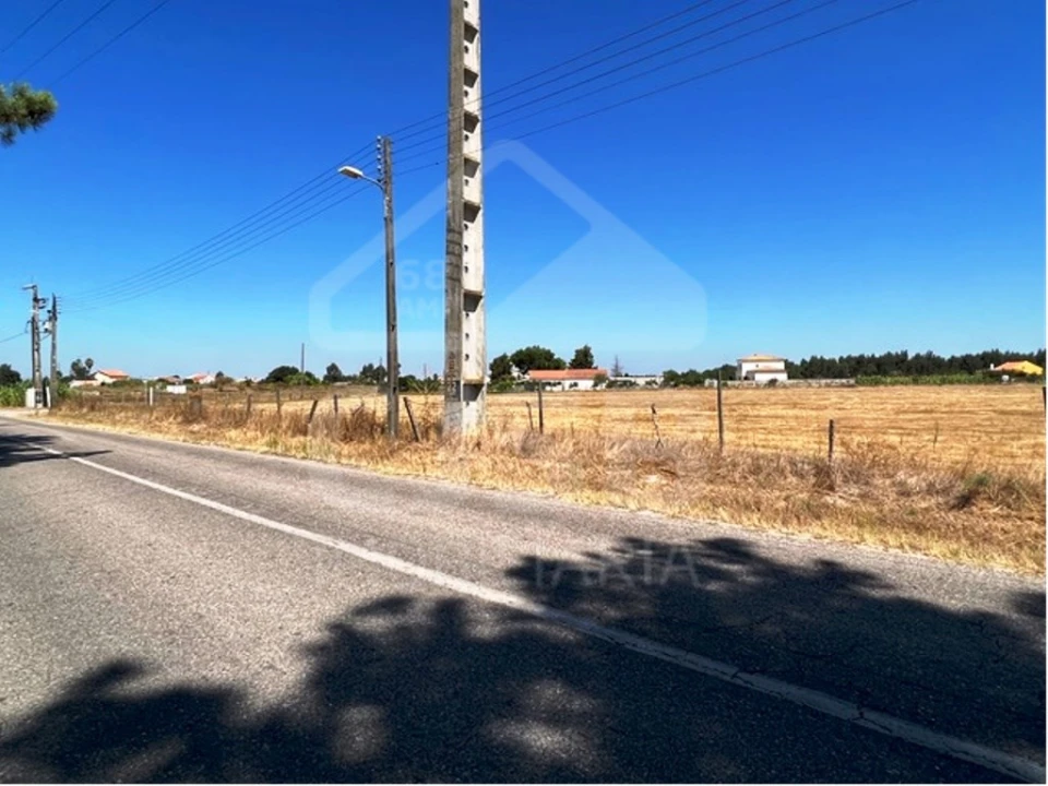 Terreno para Venda em Benavente Foto 3
