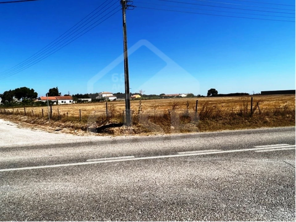 Terreno para Venda em Benavente Foto 4