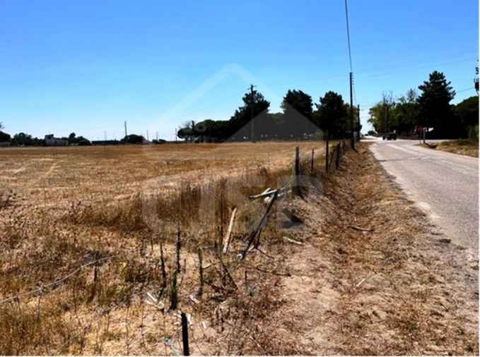 Terreno para Venda em Benavente Foto 2