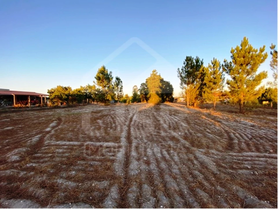 Terreno para Venda em Coruche, Fajarda e Erra Foto 1