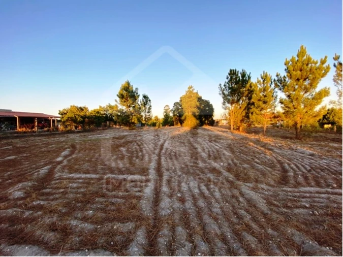 Terreno para Venda em Coruche, Fajarda e Erra