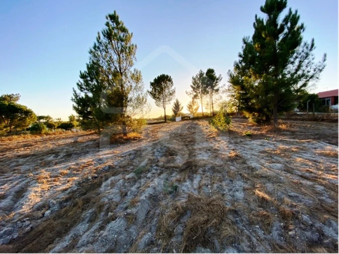 Terreno para Venda em Coruche, Fajarda e Erra Foto 4