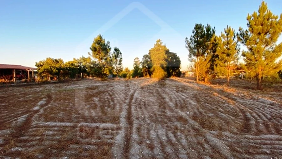 Terreno para Venda em Coruche, Fajarda e Erra
