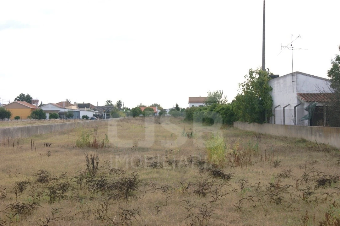 Terreno para Venda em Salvaterra de Magos e Foros de Salvaterra Foto 3