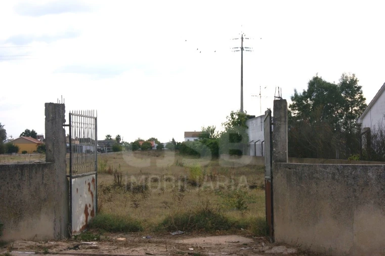 Terreno para Venda em Salvaterra de Magos e Foros de Salvaterra Foto 2