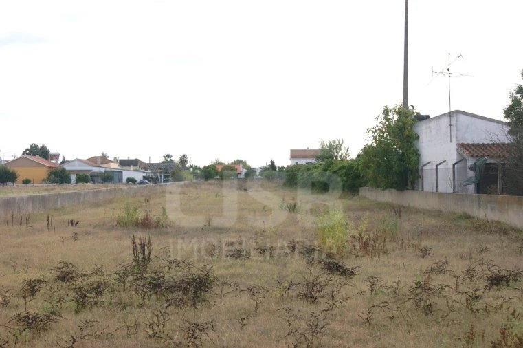 Terreno para Venda em Salvaterra de Magos e Foros de Salvaterra Foto 3