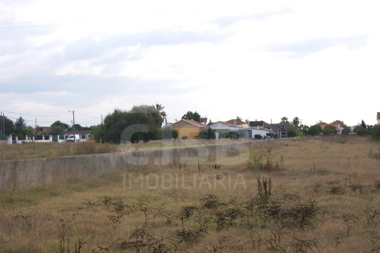 Terreno para Venda em Salvaterra de Magos e Foros de Salvaterra Foto 4