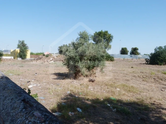 Terreno para Venda em Samora Correia Foto 3