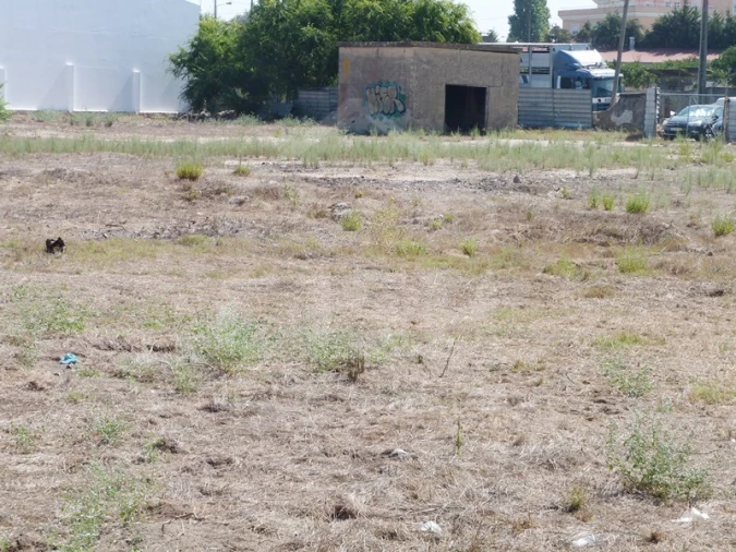Terreno para Venda em Samora Correia Foto 5