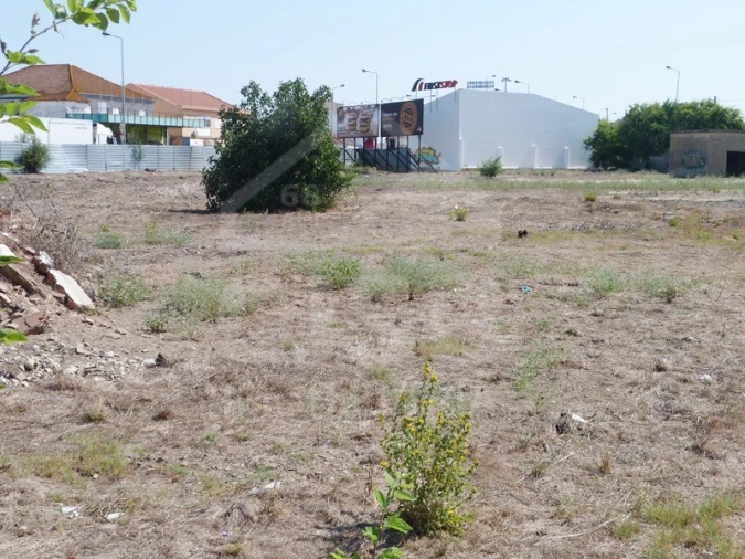 Terreno para Venda em Samora Correia Foto 6