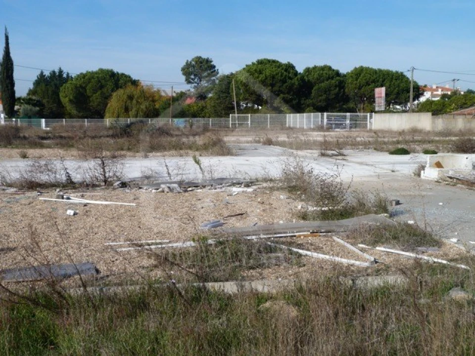 Terreno para Arrendamento em Samora Correia Foto 4