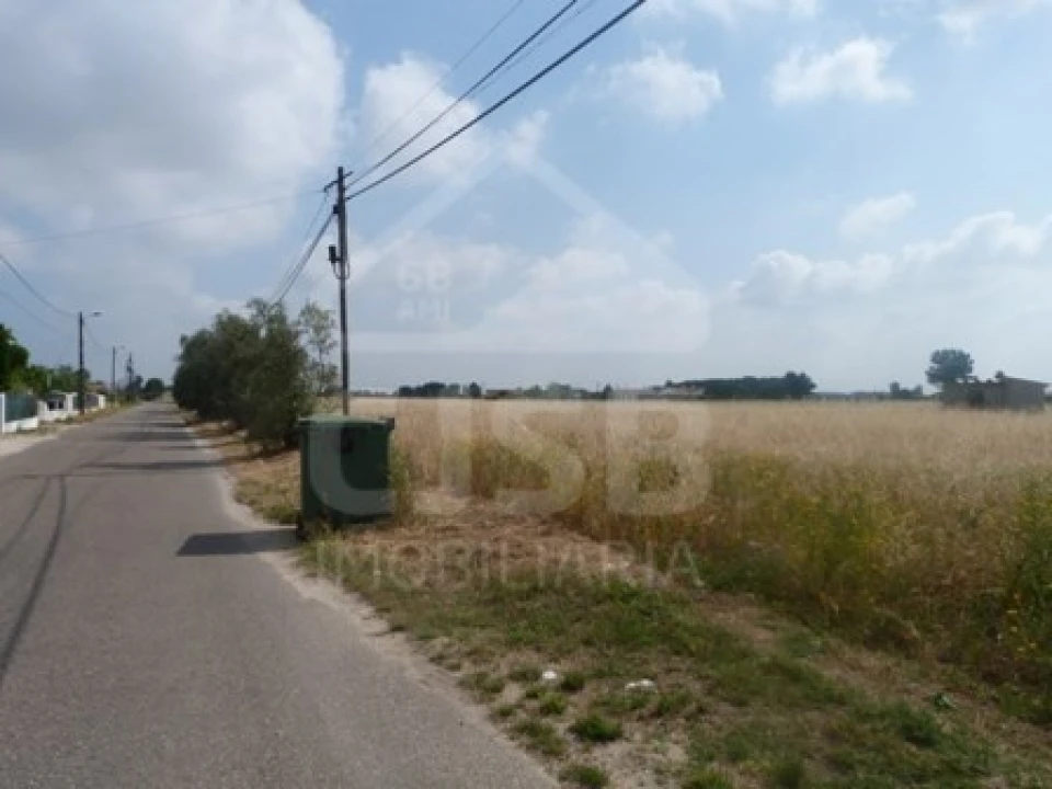 Terreno para Venda em Marinhais Foto 5