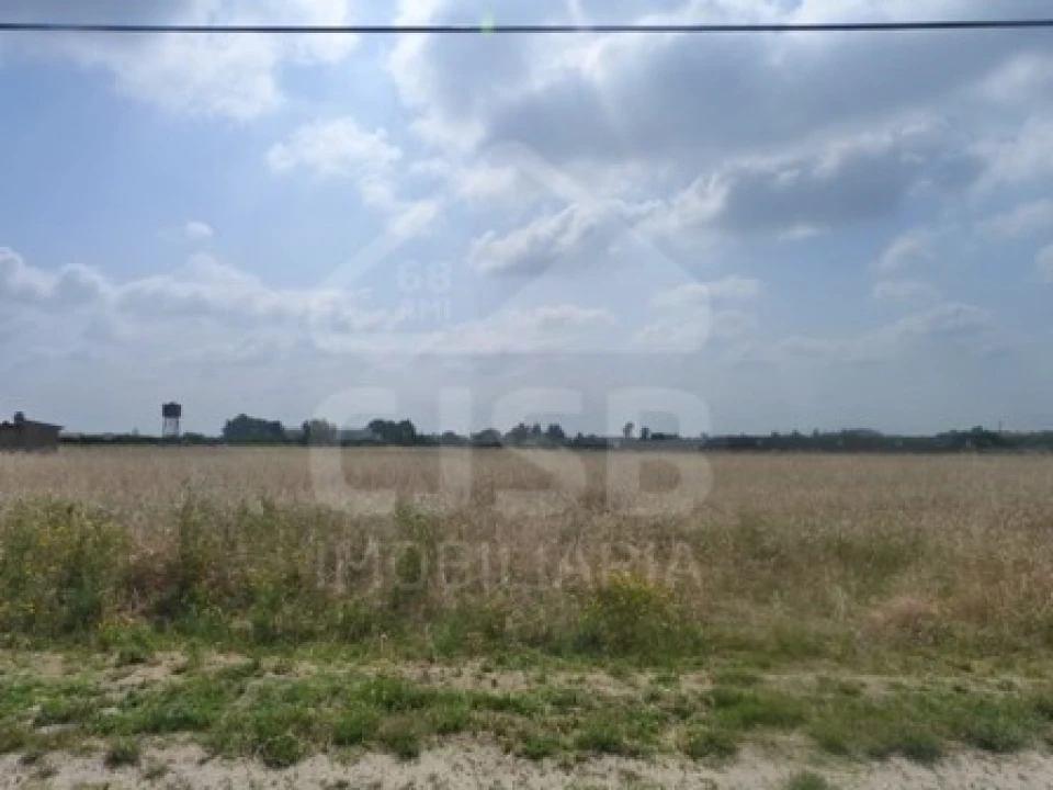 Terreno para Venda em Marinhais Foto 2