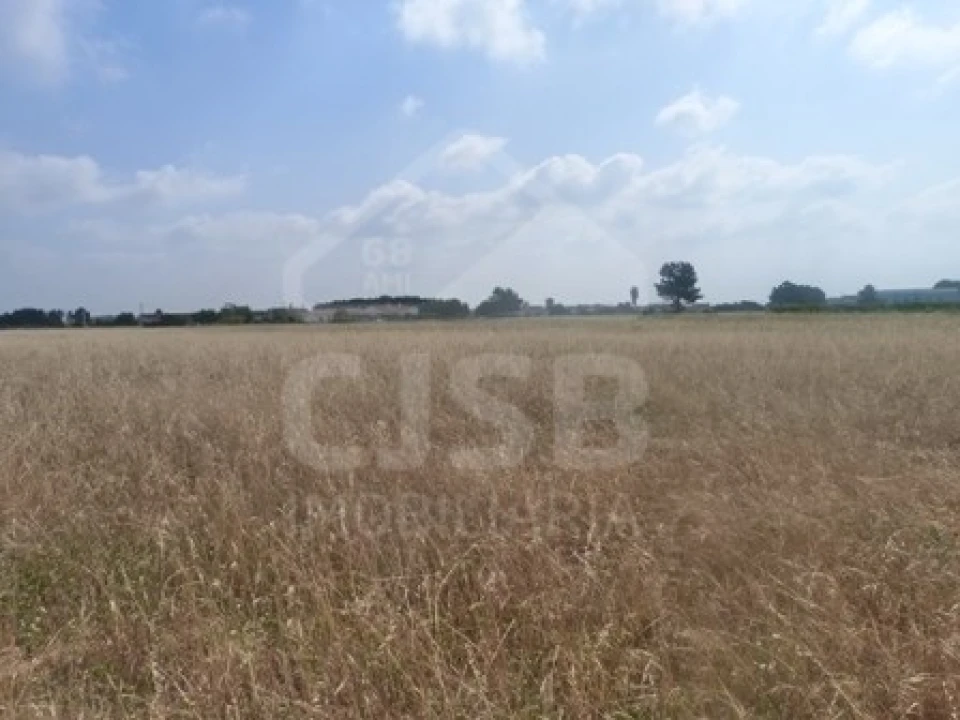 Terreno para Venda em Marinhais Foto 7