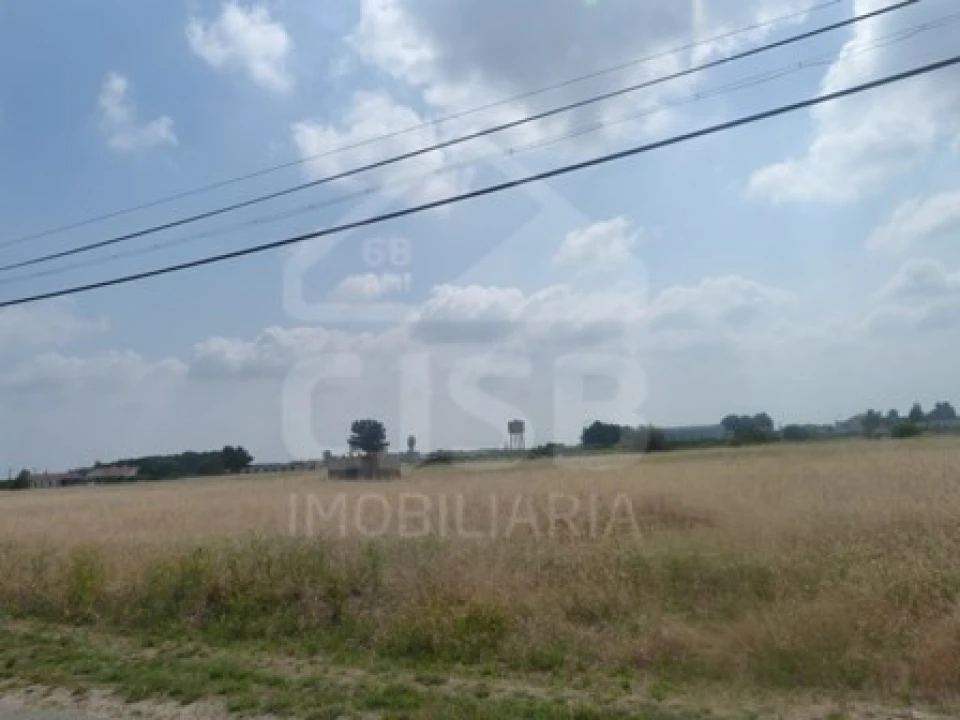 Terreno para Venda em Marinhais Foto 8