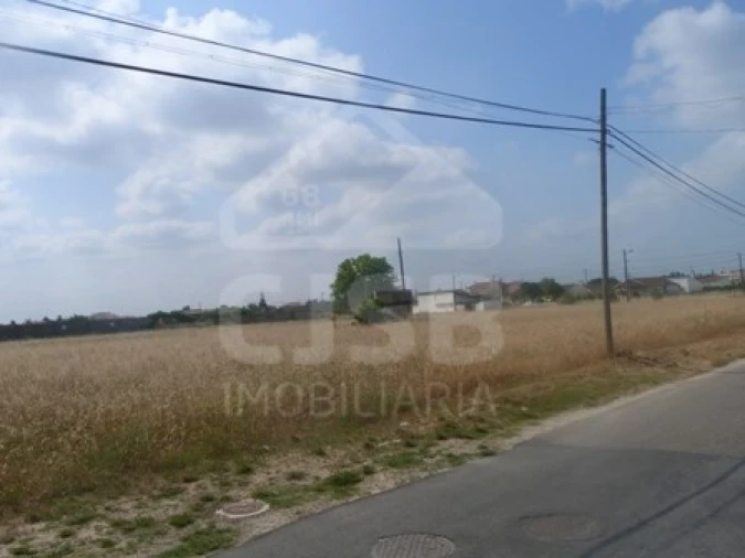 Terreno para Venda em Marinhais Foto 4