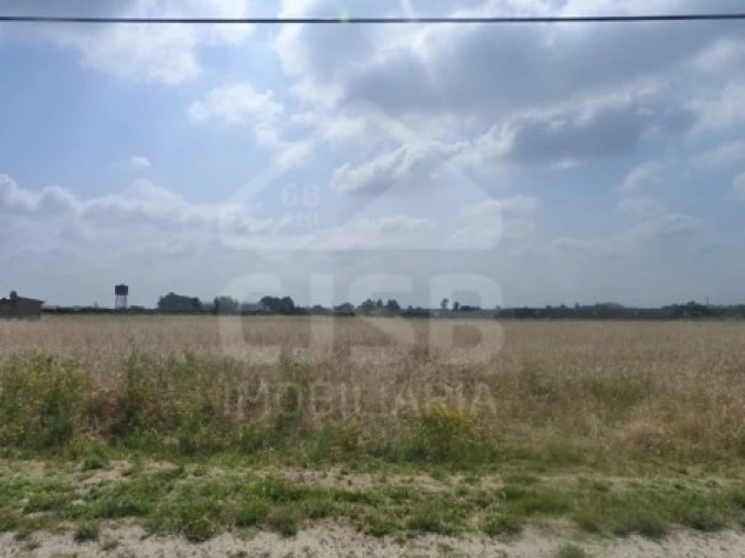 Terreno para Venda em Marinhais Foto 2