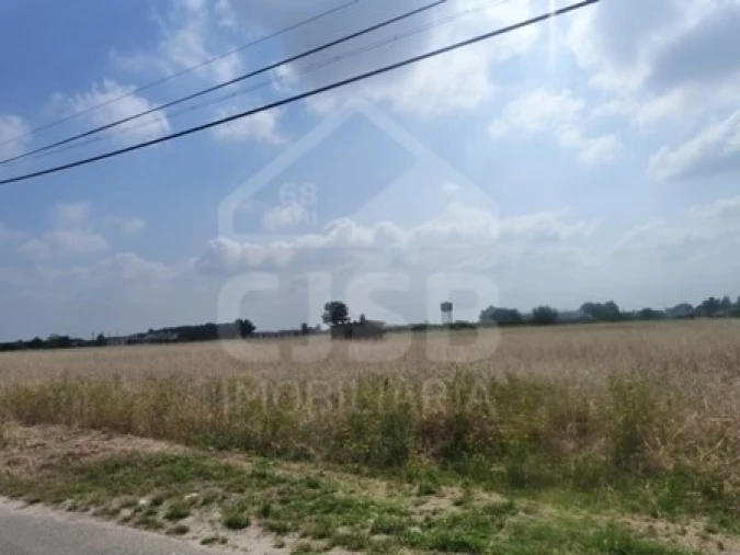 Terreno para Venda em Marinhais Foto 6