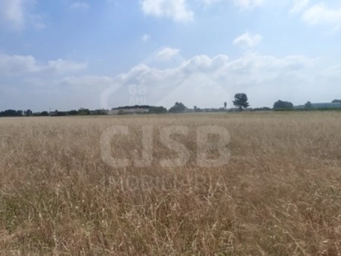 Terreno para Venda em Marinhais Foto 7