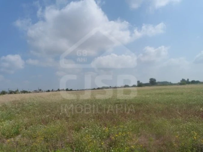 Terreno para Venda em Marinhais Foto 1