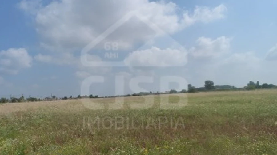 Terreno para Venda em Marinhais