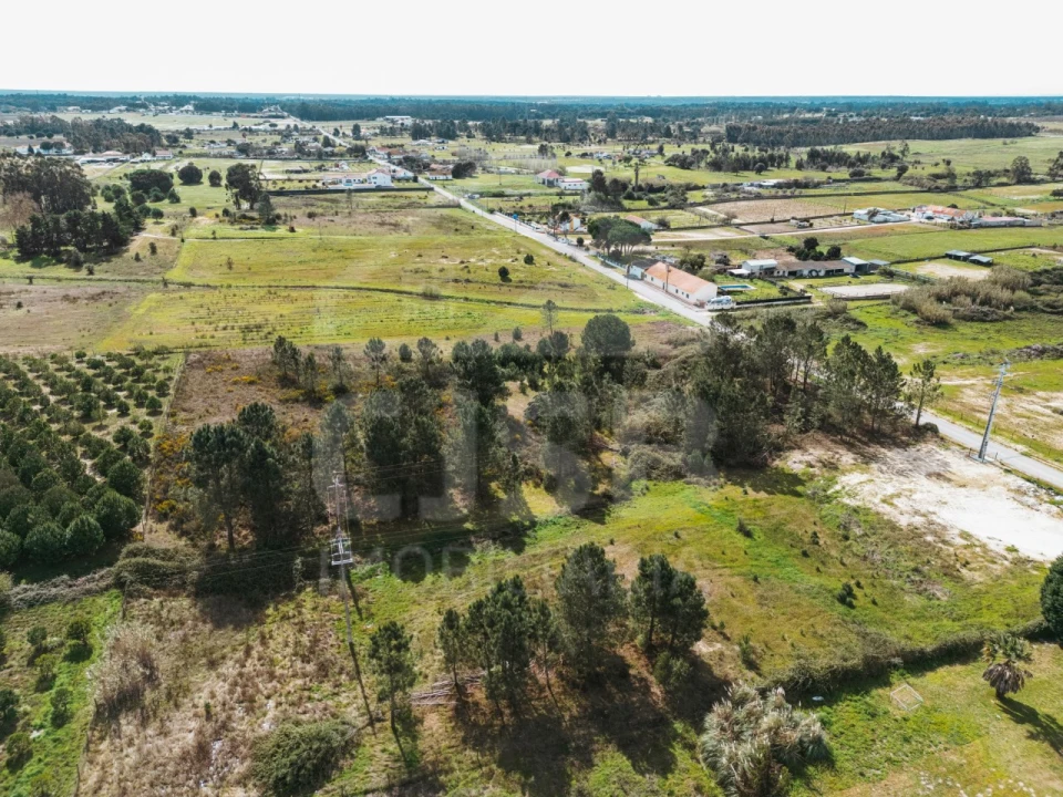 Terreno para Venda em Santo Estêvão Foto 9