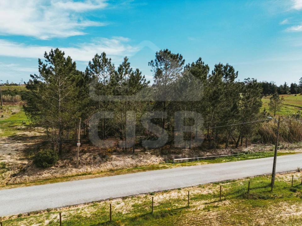 Terreno para Venda em Santo Estêvão Foto 6