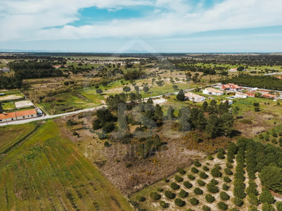 Terreno para Venda em Santo Estêvão Foto 3