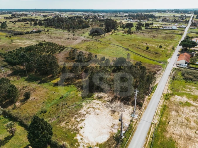 Terreno para Venda em Santo Estêvão Foto 7