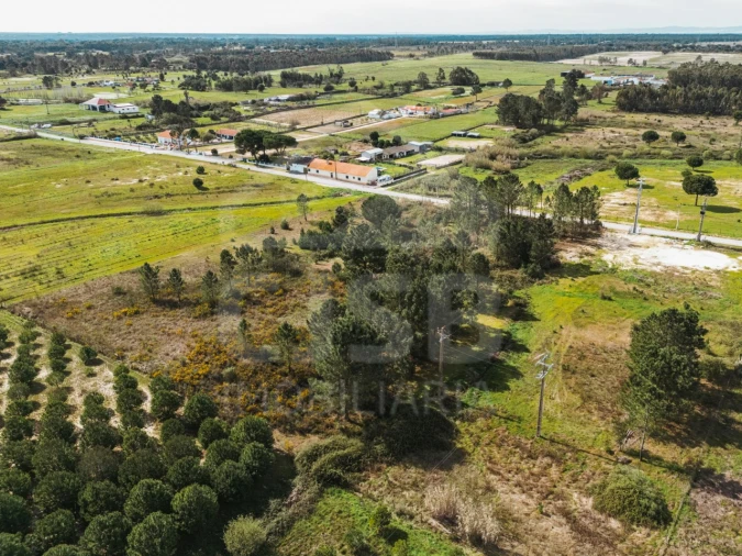 Terreno para Venda em Santo Estêvão Foto 10