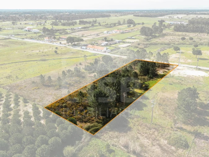 Terreno para Venda em Santo Estêvão Foto 2