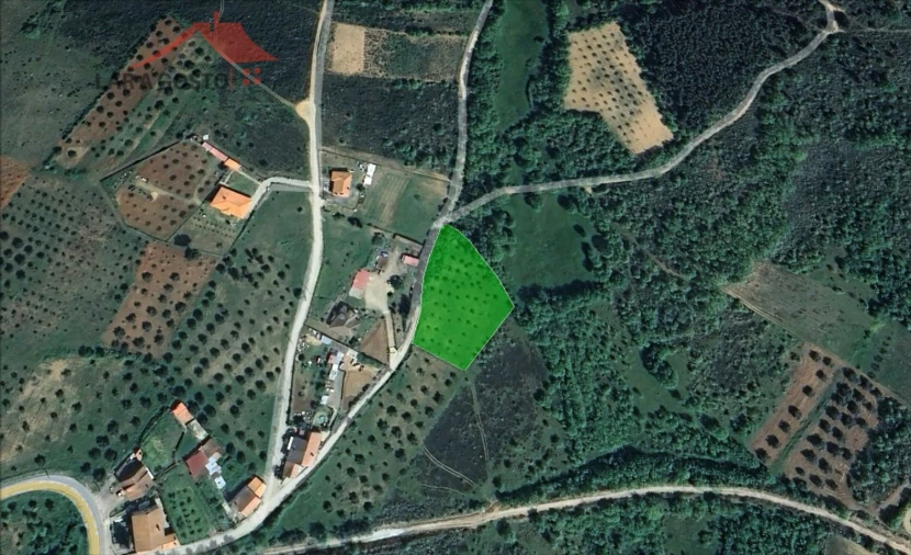 Terreno para Venda em Castelãos e Vilar do Monte Foto 1