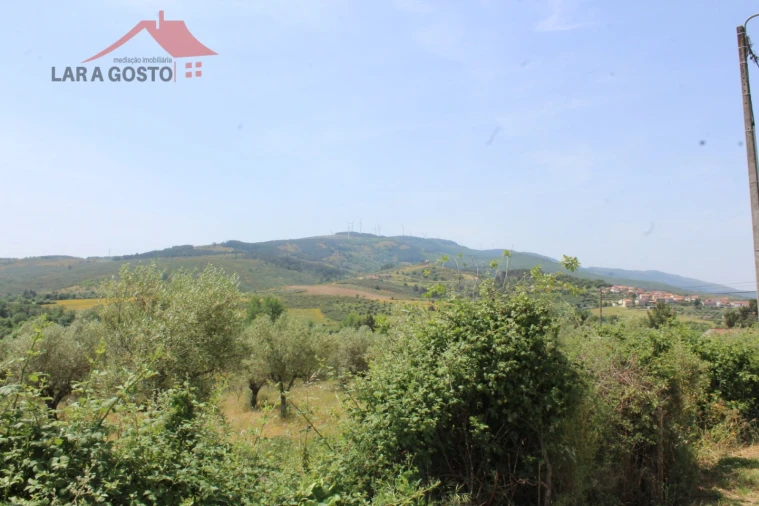 Terreno para Venda em Castelãos e Vilar do Monte Foto 5